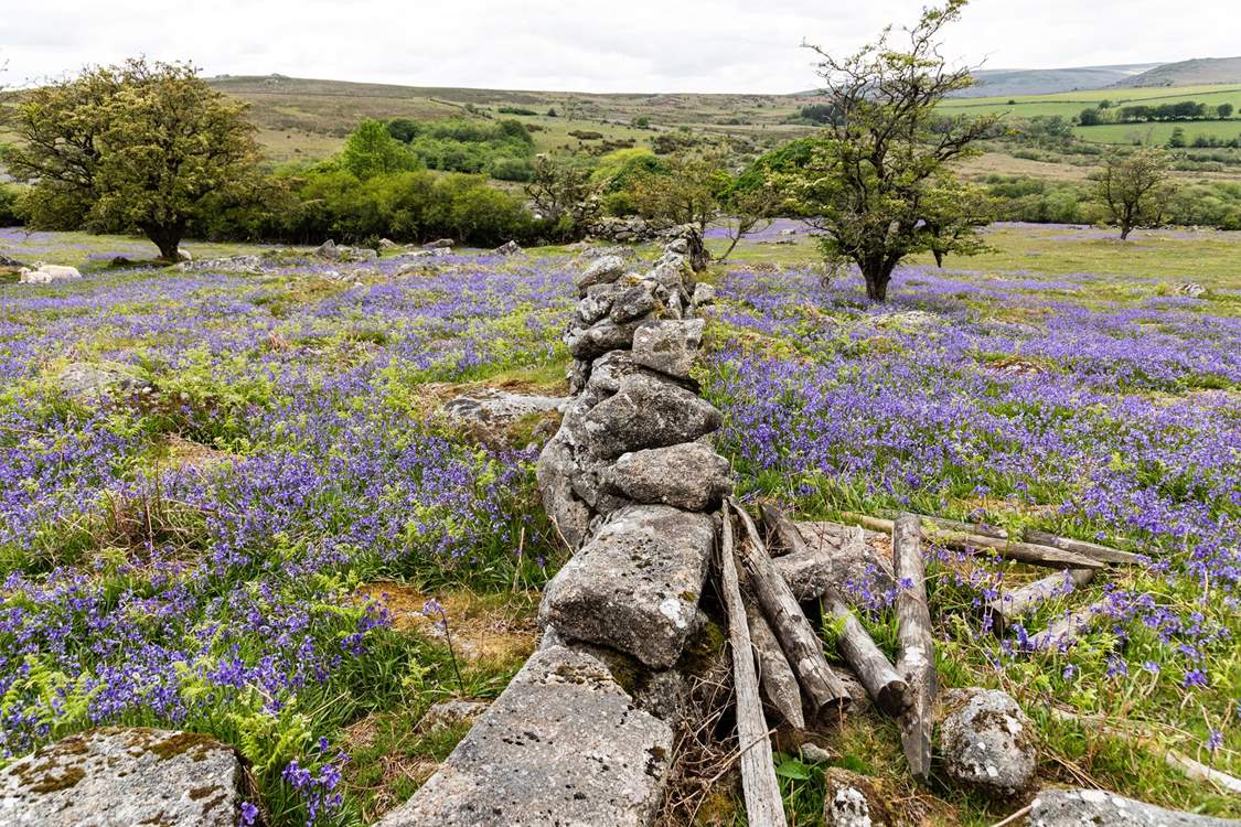 A spring view of nearby Dartmoor.
