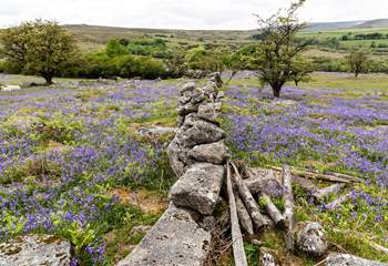 A spring view of nearby Dartmoor.