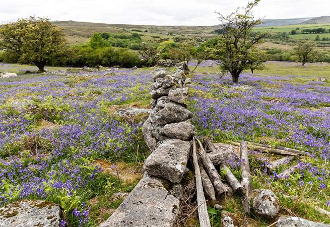 A spring view of nearby Dartmoor.