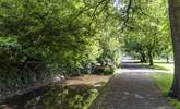 There are some lovely riverside walks around Tavistock. - Thumbnail Image