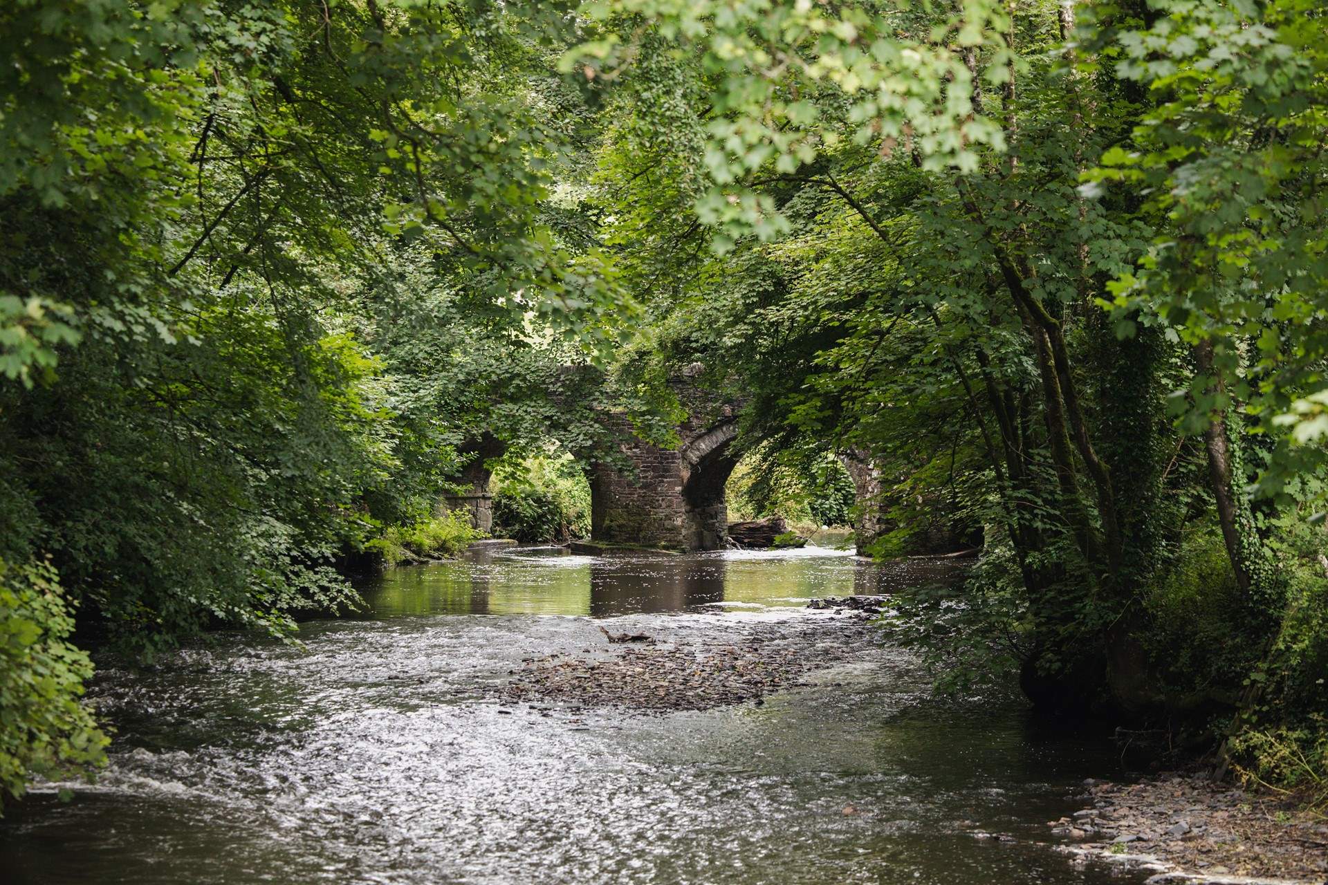 The perfect spot to stop and breath.