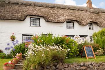 Why not try a home-made cake or two from Elizabeths or the local village shop.