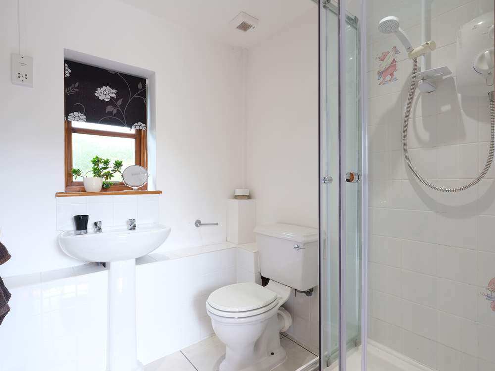 The shower-room