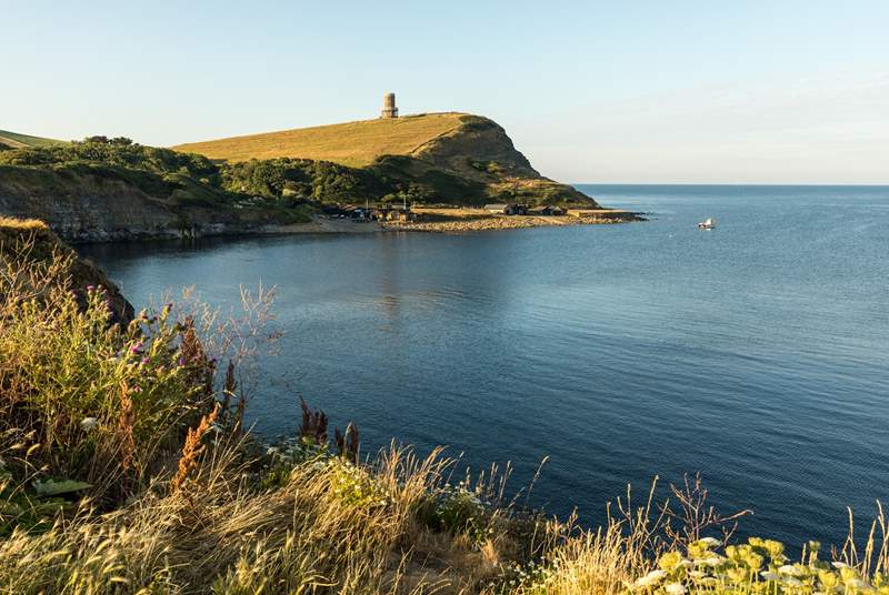 Kimmeridge Bay is located within a marine Special Area of Conservation and has the best rockpooling and safest snorkelling site in Dorset.  It is also the home of the Etches Collection - one of the most extraordinary collections of fossils in the country!