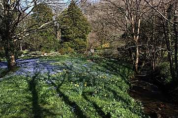 The grounds are covered with a carpet of bluebells in the spring.
