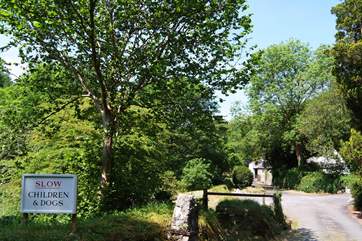 A sign to ensure your children and dogs are safe - this drive is shared with the owners and an occasional rambler only.