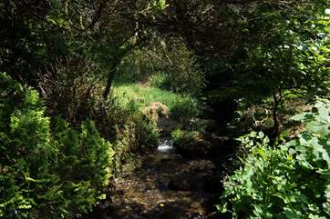 A little stream tumbles over rocks on its way to the river.