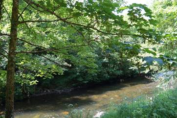 The river borders the paddock (take care with children).