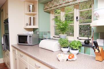 Plenty of space to prepare a family meal.