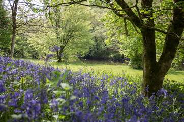 Bursts of colour in every direction.