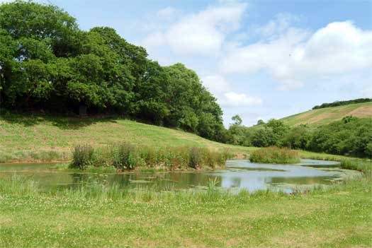 The wildlife lakes on the walk through the owners' land. One of the lakes can be fished.