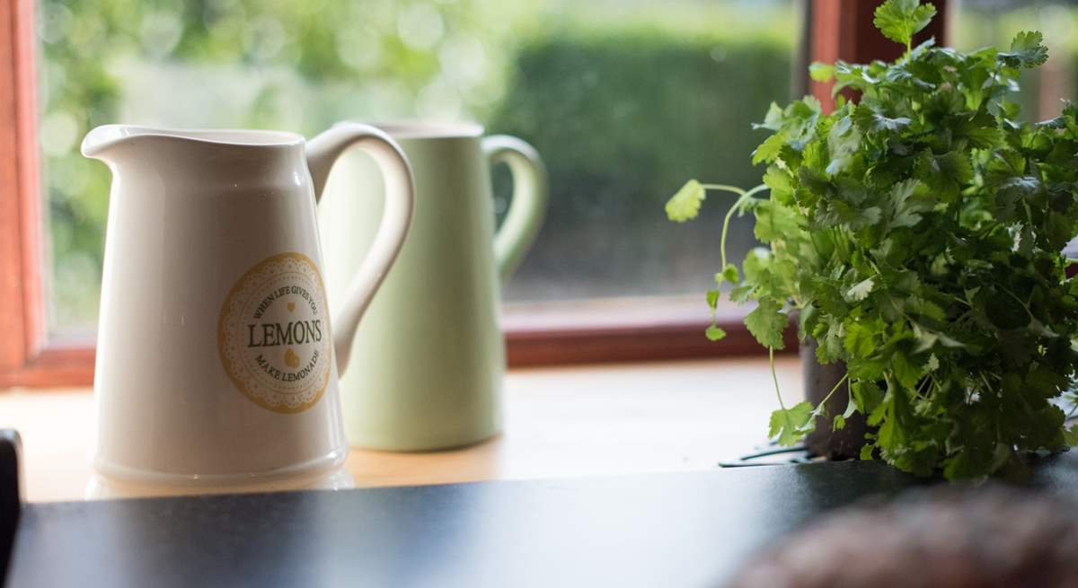 Looking out from the kitchen.