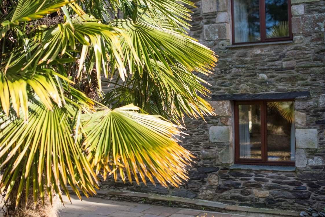 The sun-trap courtyard at the front of the house provides the perfect climate for mediterranean plants.