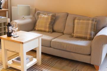 The comfy sofa.