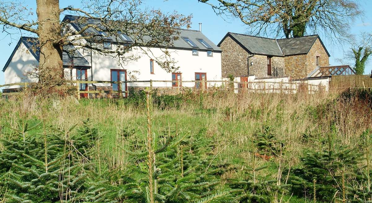 A view towards Grenlecotte Cottage with Grascott Cottage in the background.