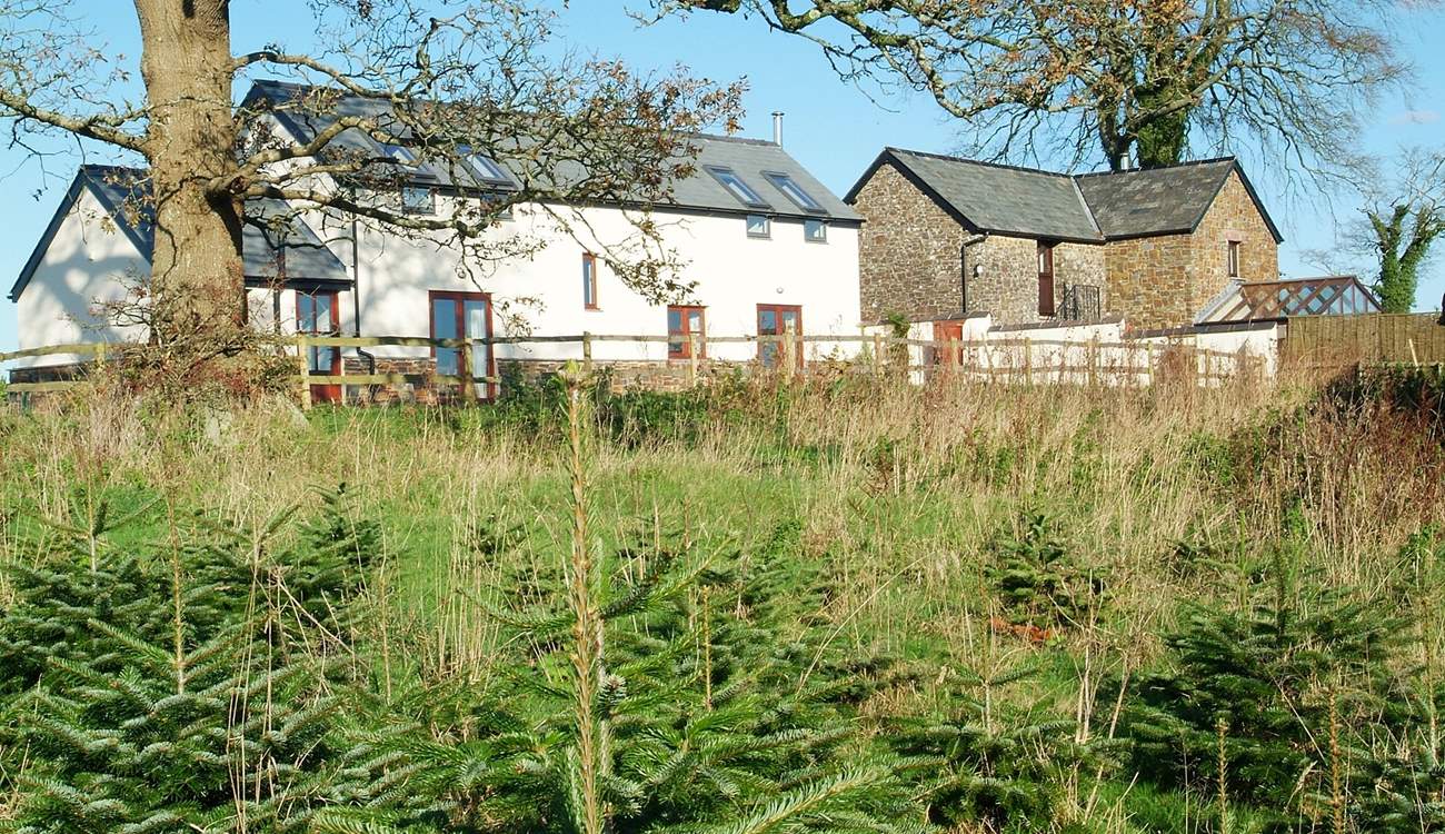 A view towards Grenlecotte Cottage with Grascott Cottage in the background.
