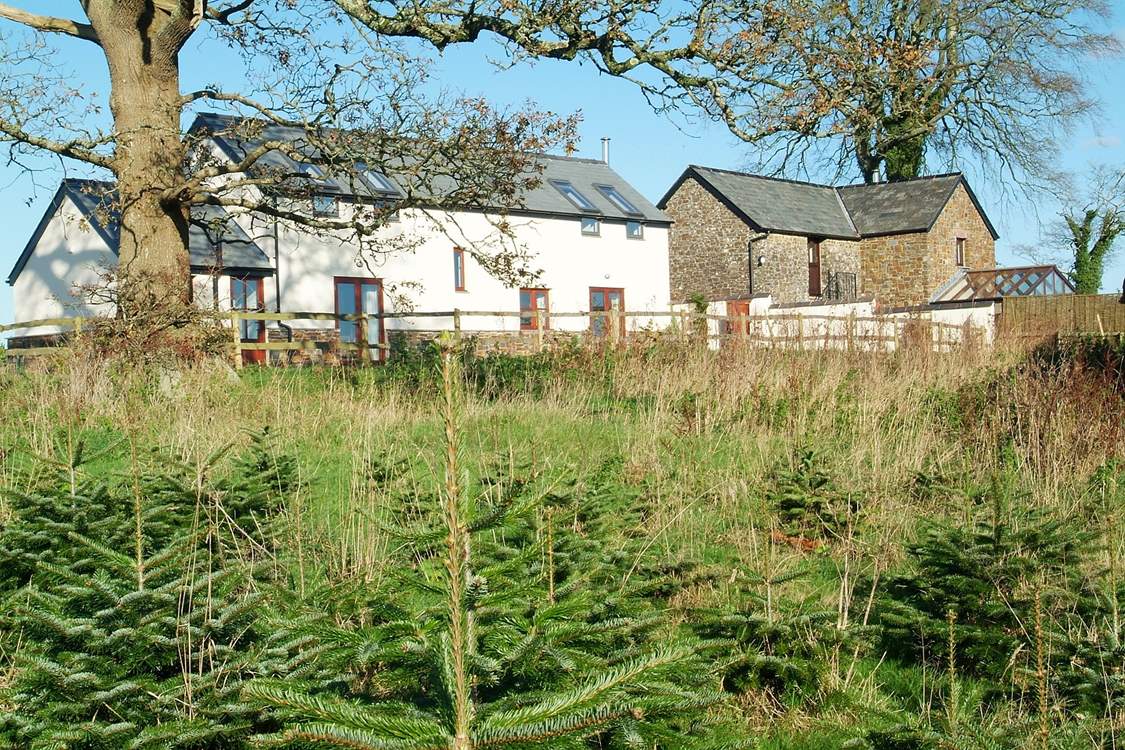 A view towards Grenlecotte Cottage with Grascott Cottage in the background.