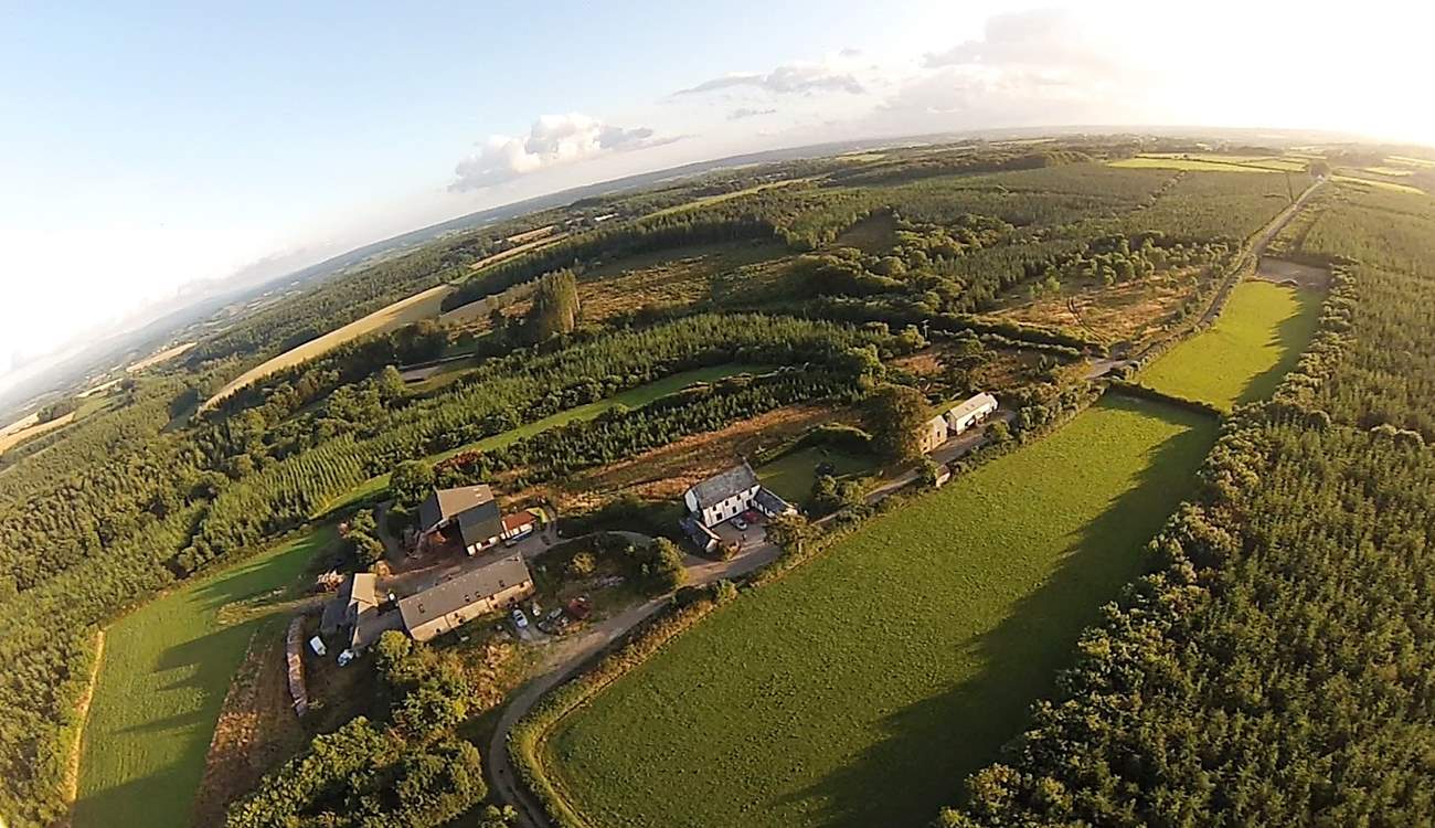 Grascott Forest is a magical place to get away from it all. No street lights here!