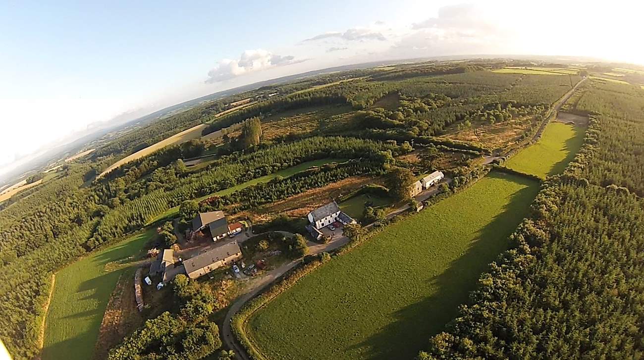 Grascott Forest is a magical place to get away from it all. No street lights here!