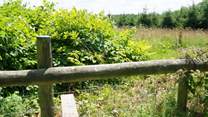The walks on the doorstep are stunning and will keep your very important pet entertained.