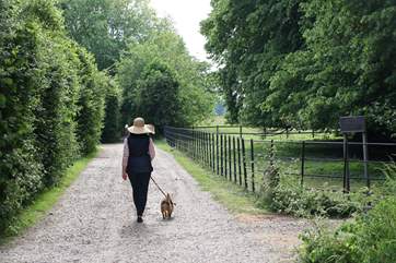 Walks straight from The Lodge up the drive into miles of open fields with public footpaths joining the Parrett Trail.