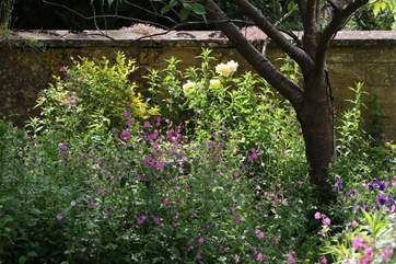 The Lodge has a tradiational English cottage garden. It is a delight.
