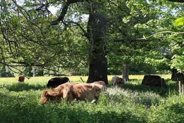 A truly rural lifestyle