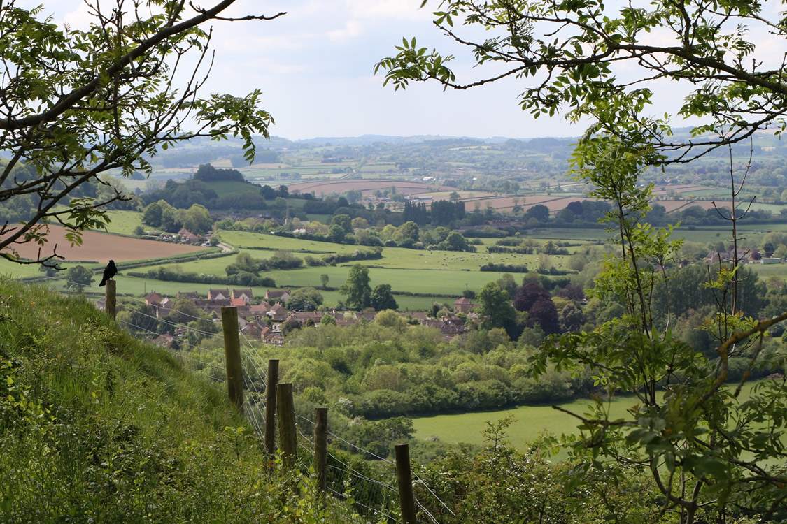 This is the view from the iron age hill Fort at Ham Hill. This special geological site is the source of the beautiful stone of the period buildings through this area.