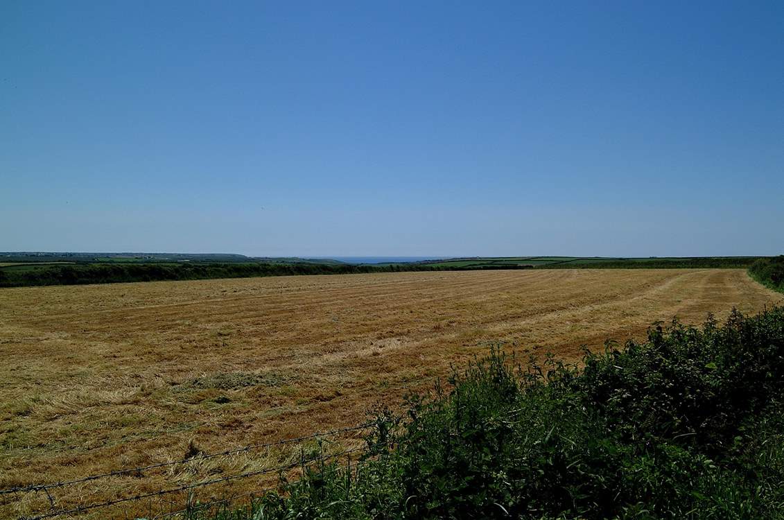 The view from the private driveway leading to Springfield Cottage, shared with the neighbouring properties.