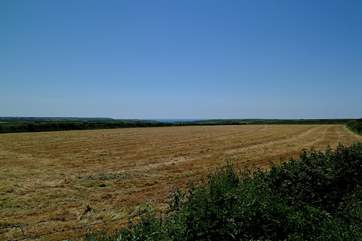 The view from the top of the long private driveway leading to Springfield Cottage and shared with guests staying at Lower Tregiddle and one other cottage at this location.