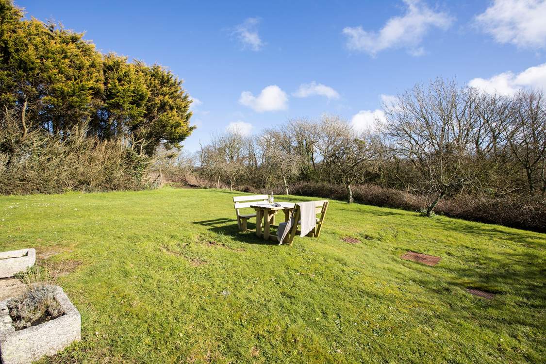 The garden is extensive, perfect for family games.