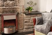 The electric effect fire will keep you warm.