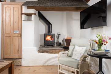 The cosy wood burner