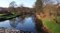 This is the lovely picnic spot by the river in Withypool. The shallow water is a great place for dogs to cool off.