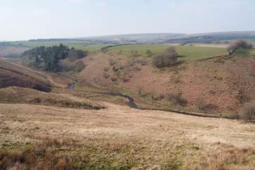 The beautiful Exmoor scenery is so easy to reach from Week Cottage - you can simply walk up the hill to find some wonderful open space.