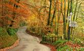 Exmoor isn't just a summer destination - think of autumn!  Cosy pubs, leafy walks blazing with colour, the Red Deer roaring.....  Why not? - Thumbnail Image