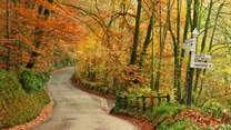 Exmoor isn't just a summer destination - think of autumn!  Cosy pubs, leafy walks blazing with colour, the Red Deer roaring.....  Why not?