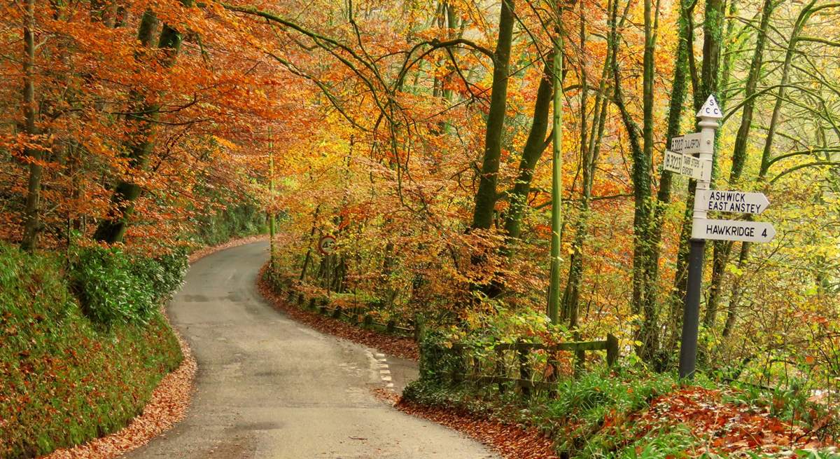 Exmoor isn't just a summer destination - think of autumn!  Cosy pubs, leafy walks blazing with colour, the Red Deer roaring.....  Why not?