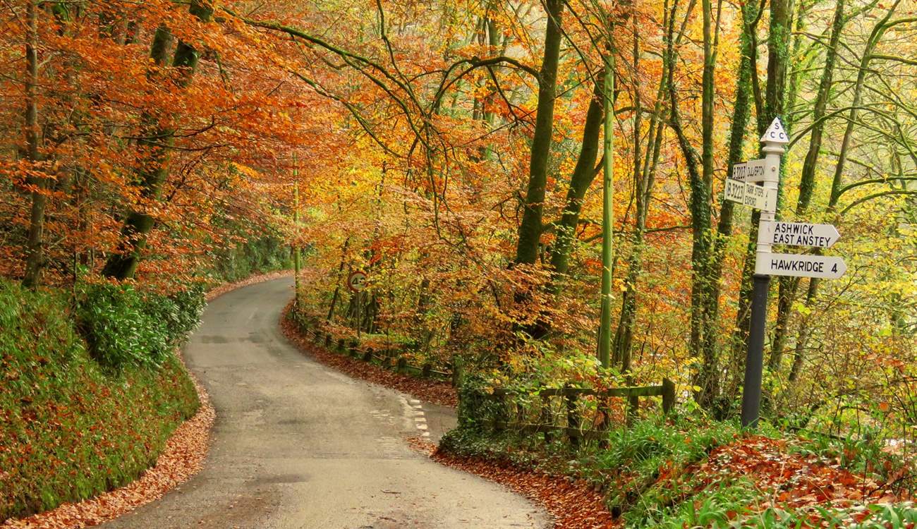Exmoor isn't just a summer destination - think of autumn!  Cosy pubs, leafy walks blazing with colour, the Red Deer roaring.....  Why not?