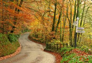 Exmoor isn't just a summer destination - think of autumn!  Cosy pubs, leafy walks blazing with colour, the Red Deer roaring.....  Why not?