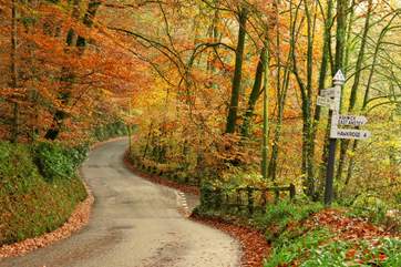 Exmoor isn't just a summer destination - think of autumn! Cosy pubs, leafy walks blazing with colour, the Red Deer roaring..... Why not?