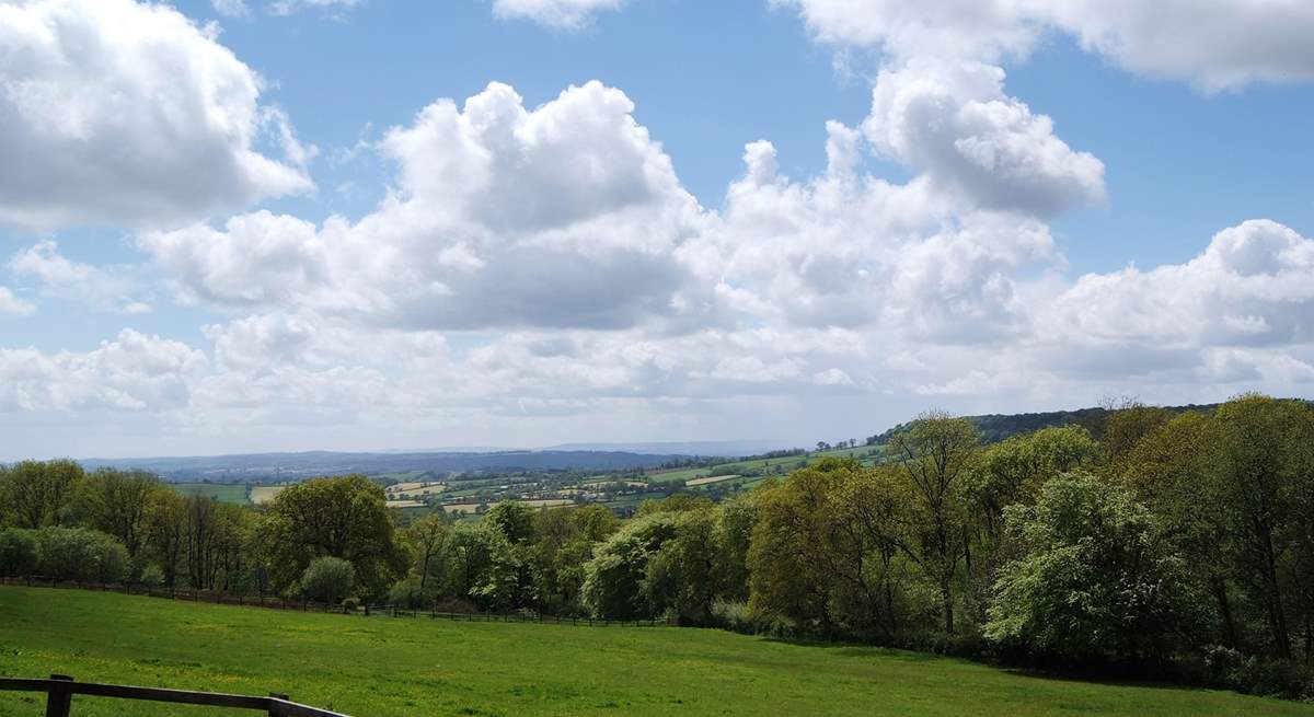 The cottage enjoys lovely views - and the woodland just below the cottage is a super place to walk your dog.