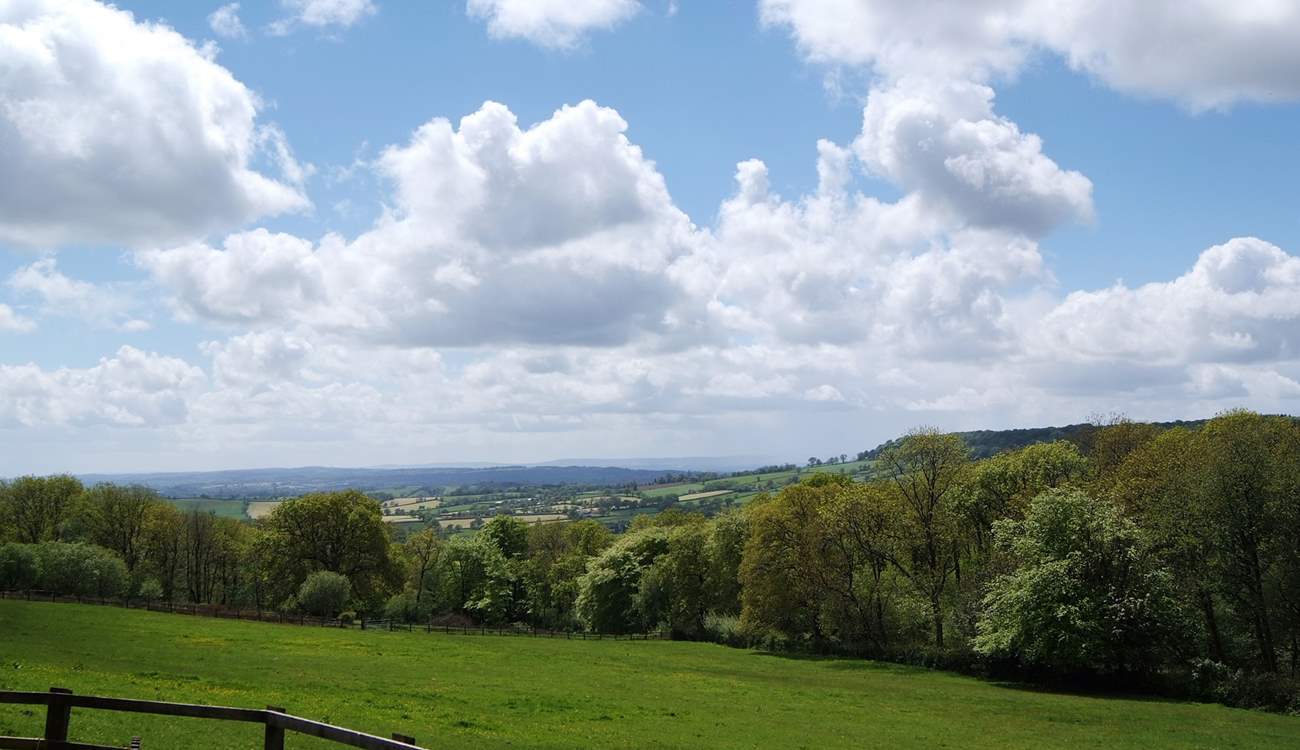 The cottage enjoys lovely views - and the woodland just below the cottage is a super place to walk your dog.