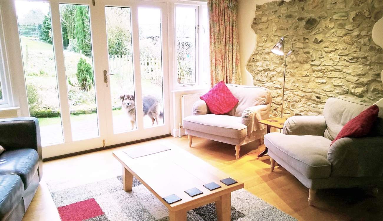 Another view of the living-room - have the French windows wide open on a sunny day and enjoy watching all the bird life in the garden.