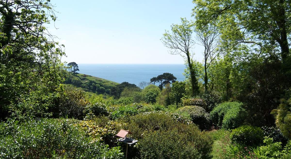 The woodland garden is planted with trees and flowering shrubs.