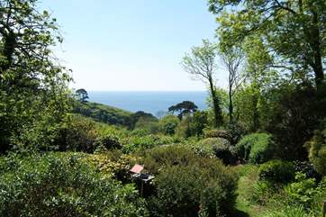 The woodland garden is planted with trees and flowering shrubs.