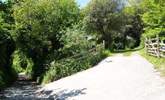 The driveway leads up the slope to the almost level parking-area; there is also a gate on the left-hand side where steps go up to a concrete path leading to the front door. - Thumbnail Image