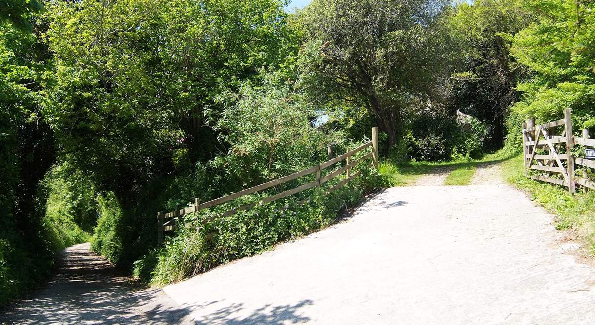 The driveway leads up the slope to the almost level parking-area; there is also a gate on the left-hand side where steps go up to a concrete path leading to the front door.