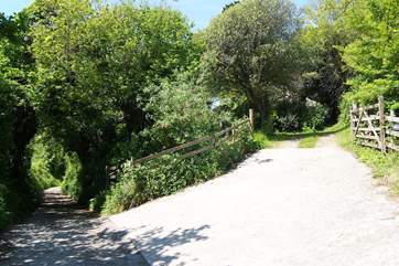 The driveway leads up the slope to the almost level parking-area; there is also a gate on the left-hand side where steps go up to a concrete path leading to the front door.