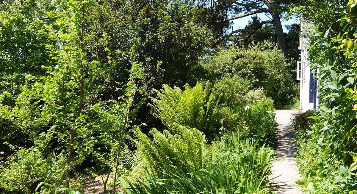 The path leads through the garden to the front door.